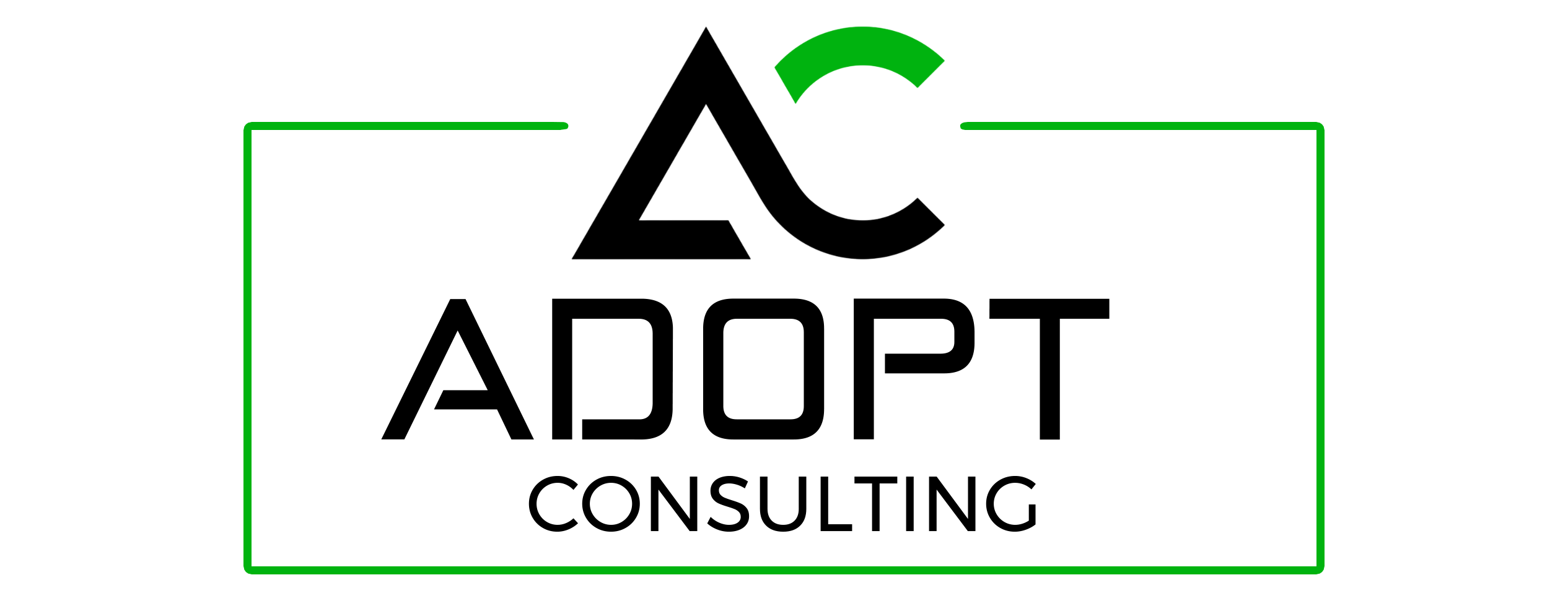 DNS Ride Consulting