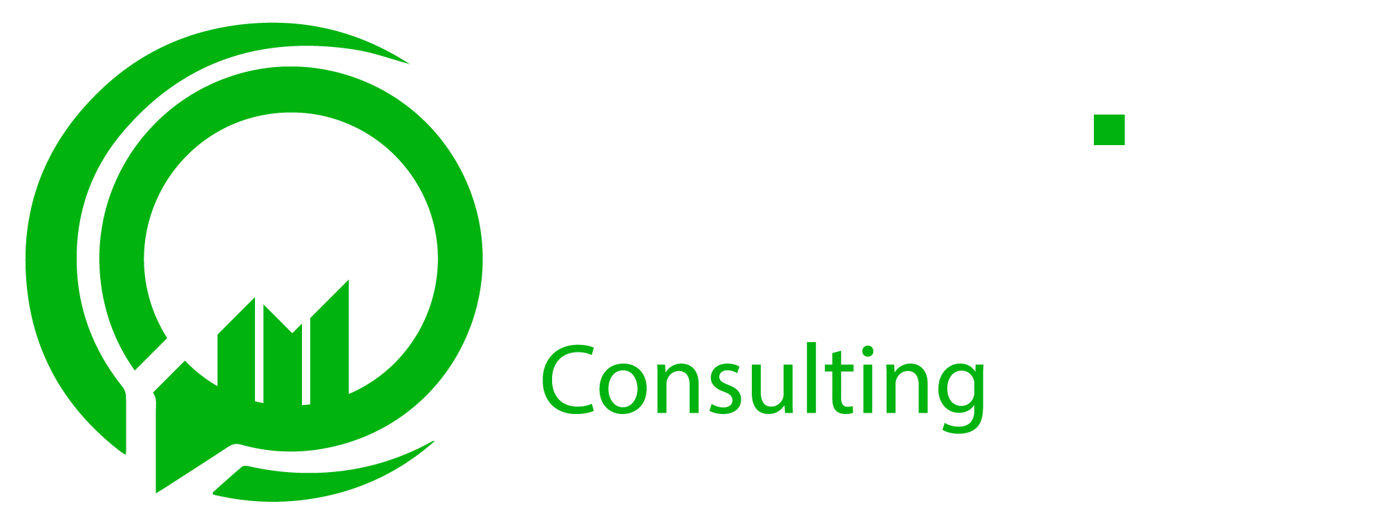 DNS Ride Consulting